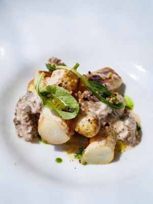 Asparagus and morille mushrooms with their white sauce at Ristorante Corallo in Vallecrosia