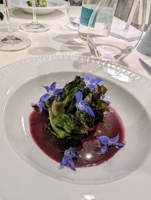 Lattuga (non ricordo il nome) con riduzione al radicchio tardivo at Ristorante Corallo in Vallecrosia