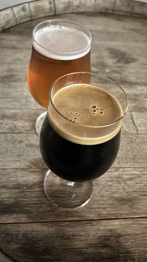 Sad Wings Stout & Double Raspberry Sour Ale  at E9 Brewing Co in Tacoma