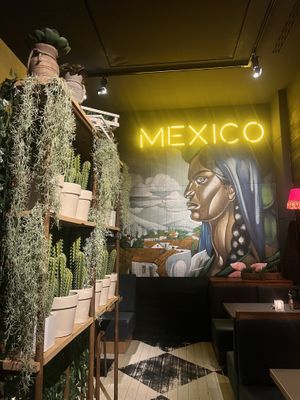   at Enchilada in Dresden