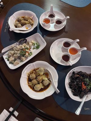 a selection of starters  at Tofu Vegan - Golders Green in North West London