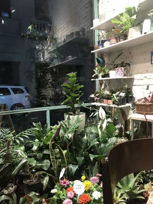 interior  at Naturaleza Sabia in Buenos Aires