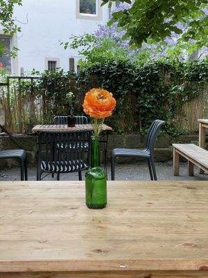 Entspannt sitzen im Hinterhof😄 at Falscher Hase in Dresden