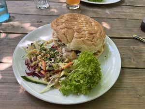   at Falscher Hase in Dresden