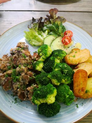  at Falscher Hase in Dresden