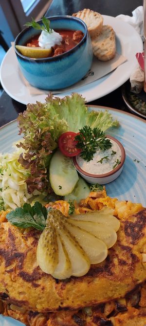  at Falscher Hase in Dresden