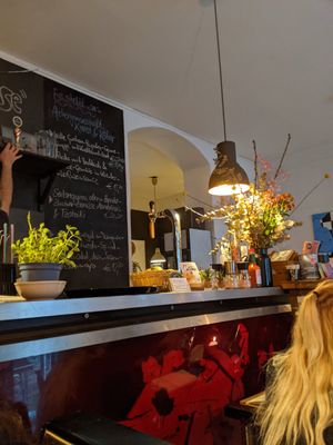  at Falscher Hase in Dresden