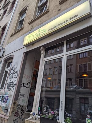  at Falscher Hase in Dresden