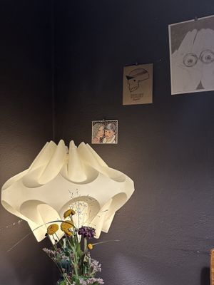   at Falscher Hase in Dresden