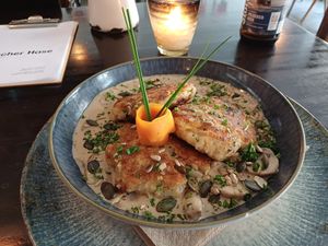  at Falscher Hase in Dresden