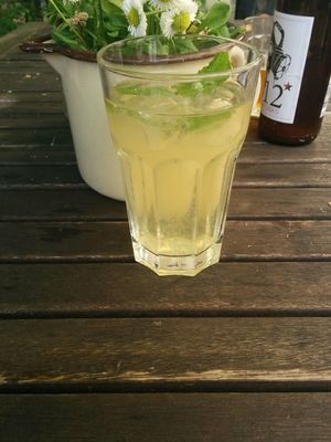 Homemade ice tea at Falscher Hase in Dresden