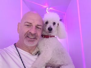  at Stephanie's Vegan Bakery + Cafe in Fort Lauderdale