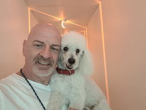 Love this place at Stephanie's Vegan Bakery + Cafe in Fort Lauderdale