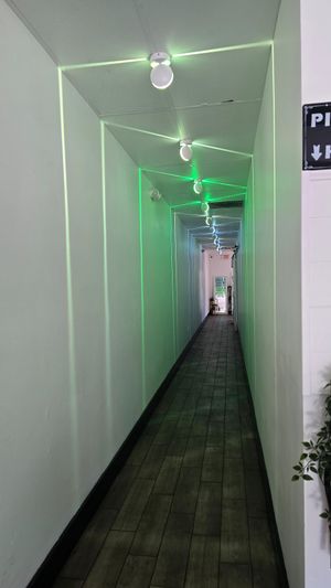 Cool hall to bathroom at Stephanie's Vegan Bakery + Cafe in Fort Lauderdale