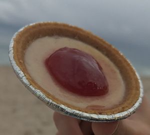 Cheesecake at Stephanie's Vegan Bakery + Cafe in Fort Lauderdale