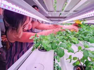  at Urban Greens in Makati