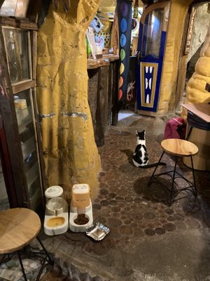   at Little Milkyway in Baguio City