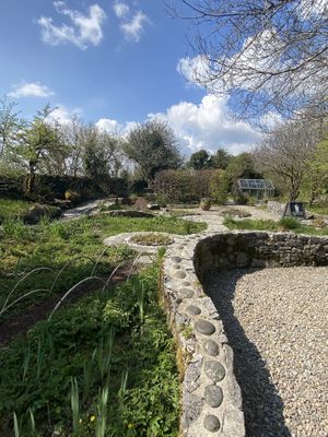 Gorgeous gardens where many of the fresh herbs used in all the dishes are grown!  at The Burren Purfumery Tea Room  in Carron