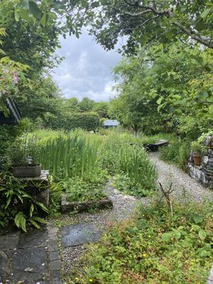   at The Burren Purfumery Tea Room  in Carron