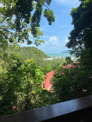   at Pegaga in Langkawi