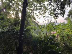 View to beach  at Pegaga in Langkawi