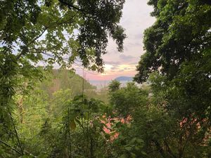   at Pegaga in Langkawi