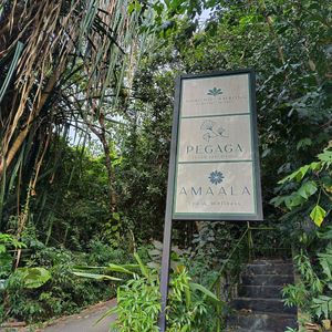  at Pegaga in Langkawi