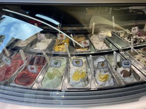 Sorbet   at Caffetteria Gelateria dell'Olmo in San Gimignano