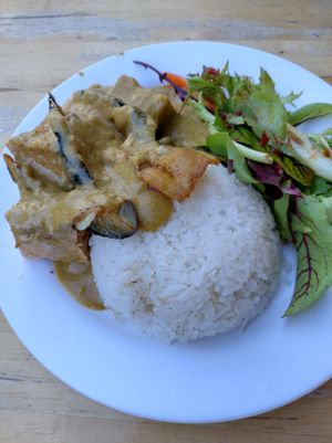 Fried eggplant and tofu malaysian curry.  Nice and tasty, salad has a lovely dressing. at Taste of the Orient in Castlemaine