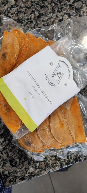 Enchiladas potosinas de Tofu at Vegandra in San Luis Potosi