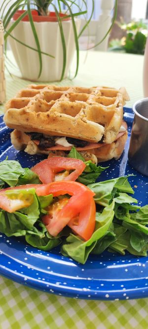 Waffle salado at Vegandra in San Luis Potosi
