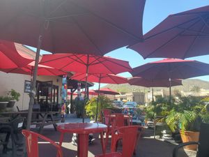 Carefree Coffee Roastery outdoor seating at Carefree Coffee Roastery in Carefree