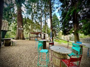 Outside bar seating under the trees  at Horseshoe Hotel in Whitby