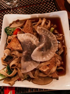 Noodle and dumpling soup at G-Zen in Branford