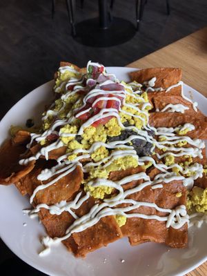 Huge plate of chilaquiles   at Vegan & Vine in Phoenix