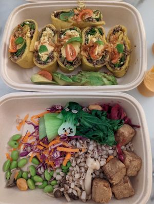 Fusion Buddha salad and eggless omelette roulade. at yumi in Dubai