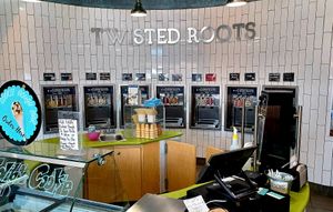 Full frozen ice cream bar at Twisted Roots Frozen Yogurt in Longmont