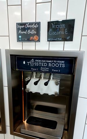 Vegan flavors at Twisted Roots Frozen Yogurt in Longmont