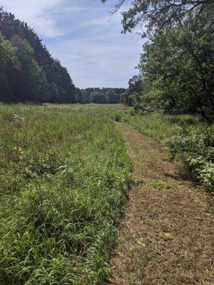 Prairie at Ugly Biscuits Bed and Breakfast in Baraboo