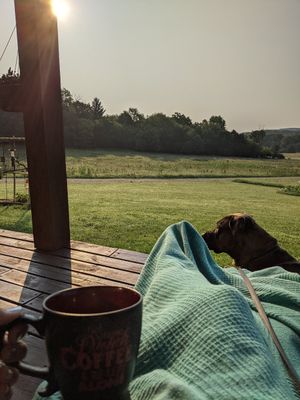 Coffee on the front porch, and one of the resident dogs, Louie at Ugly Biscuits Bed and Breakfast in Baraboo