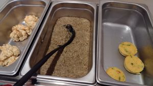 Ugly biscuits, lentil gravy & mini frittatas (Just Egg) at Ugly Biscuits Bed and Breakfast in Baraboo