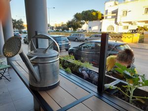 the vegetable garden at Mercearia Bio in Portimao