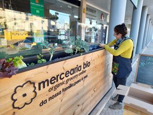 the vegetable garden at Mercearia Bio in Portimao