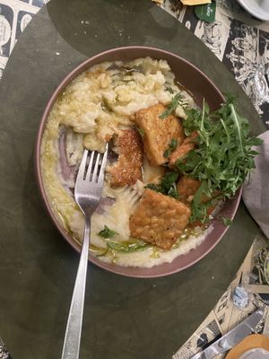 tempe   at Origami in La Spezia