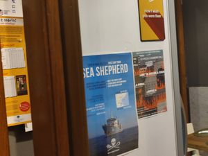  at Origami in La Spezia