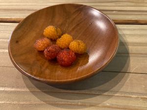 She chose six berries for me. They were so delicious that I ordered six more.  at ne - Plant-based Cafe & Act in Yakushima