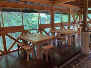 Dining area surrounded by big windows that open. It was raining when I visited and the found snd smell of the rain was wonderful. Plus, I got to watch two birds while I ate.  at ne - Plant-based Cafe & Act in Yakushima