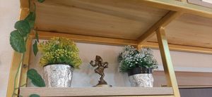  at The Oneness Fountain Heart Vegan/Vegetarian Cafe in Ulaanbaatar