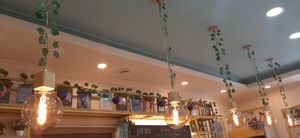  at The Oneness Fountain Heart Vegan/Vegetarian Cafe in Ulaanbaatar