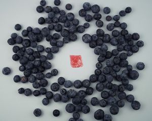  at La Capritxeria in Barcelona